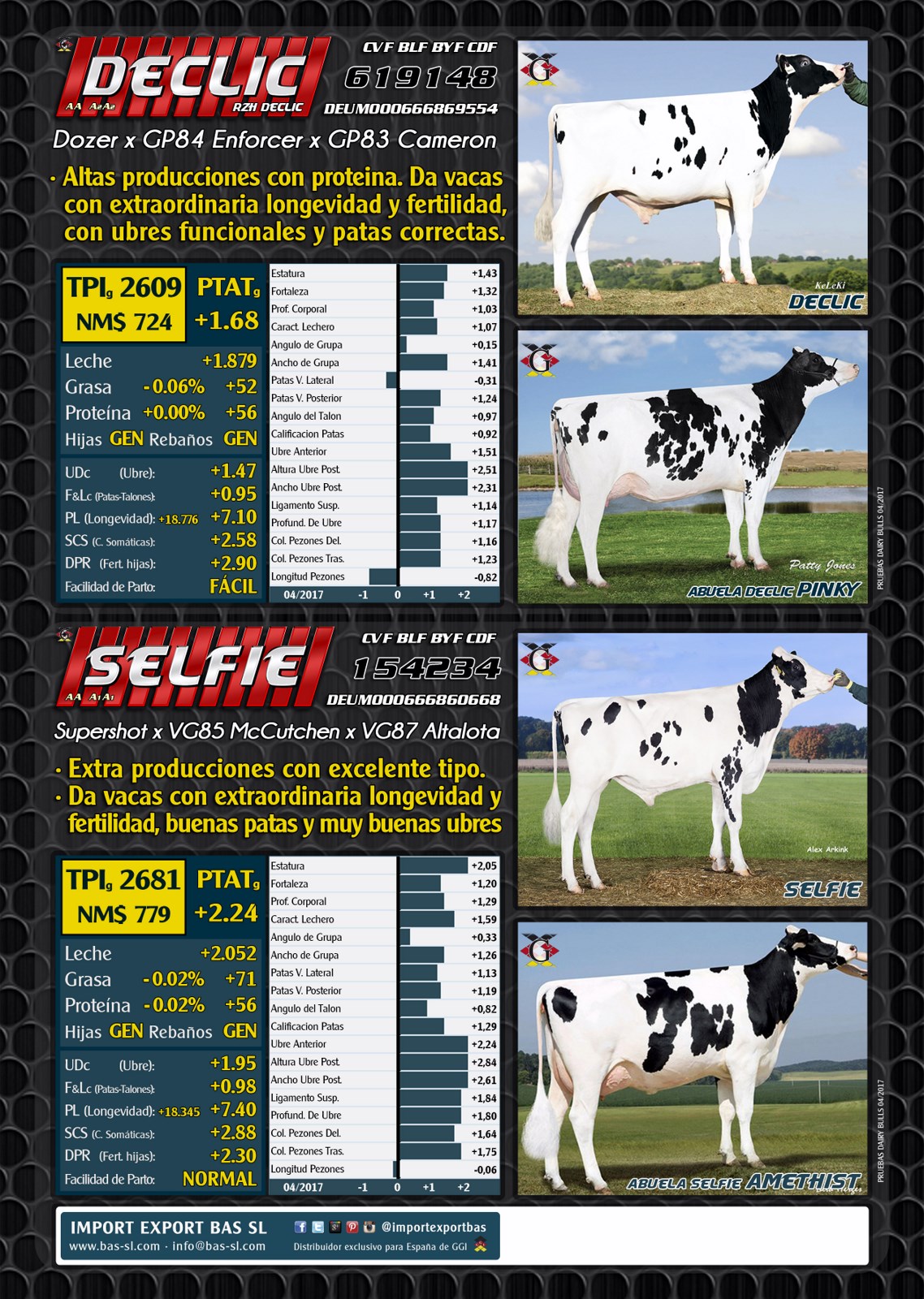 BAS&middot;GGI - Toros USA 2017